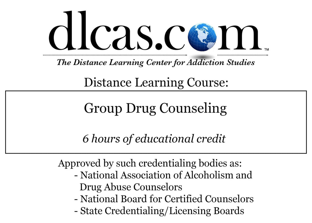 Group Drug Counseling (6 hours)